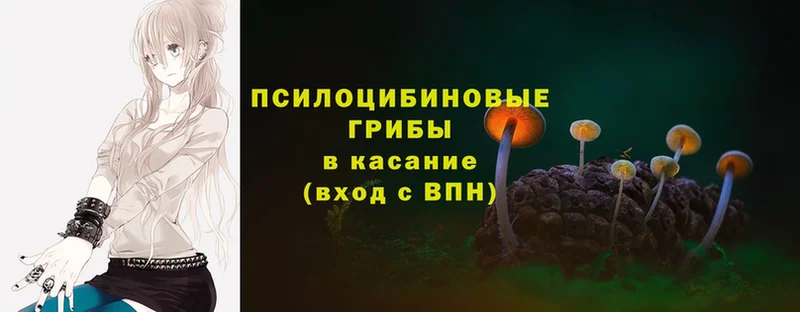 продажа наркотиков  Кизилюрт  Псилоцибиновые грибы ЛСД 